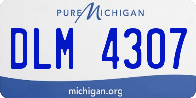 MI license plate DLM4307