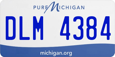 MI license plate DLM4384
