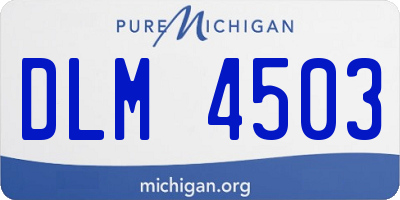 MI license plate DLM4503