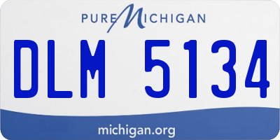 MI license plate DLM5134
