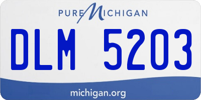 MI license plate DLM5203