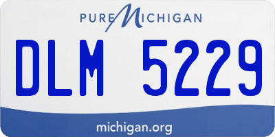 MI license plate DLM5229