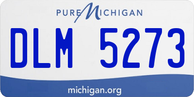 MI license plate DLM5273
