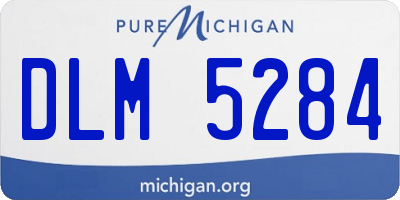 MI license plate DLM5284