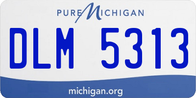 MI license plate DLM5313