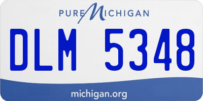 MI license plate DLM5348
