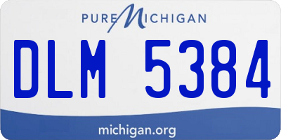 MI license plate DLM5384