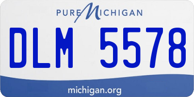 MI license plate DLM5578
