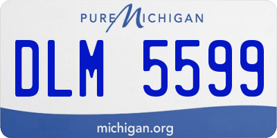 MI license plate DLM5599