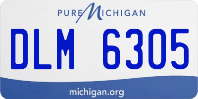 MI license plate DLM6305