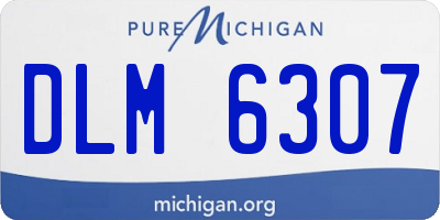MI license plate DLM6307