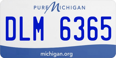 MI license plate DLM6365