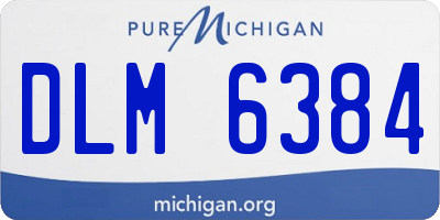 MI license plate DLM6384