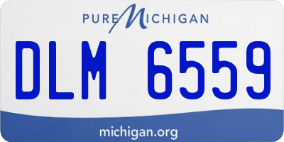 MI license plate DLM6559