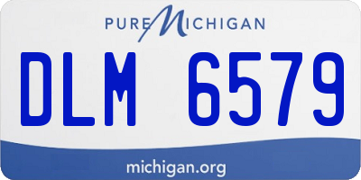 MI license plate DLM6579