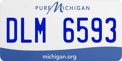 MI license plate DLM6593