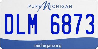 MI license plate DLM6873