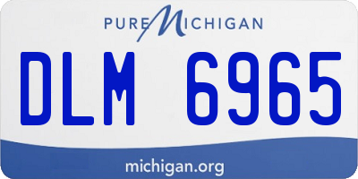 MI license plate DLM6965