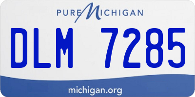 MI license plate DLM7285