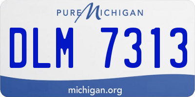 MI license plate DLM7313