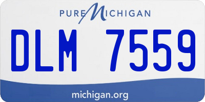 MI license plate DLM7559