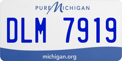 MI license plate DLM7919