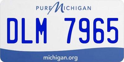 MI license plate DLM7965