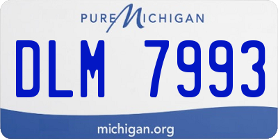 MI license plate DLM7993