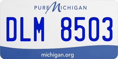 MI license plate DLM8503
