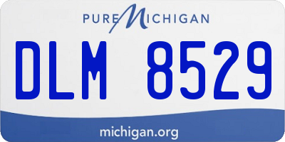 MI license plate DLM8529