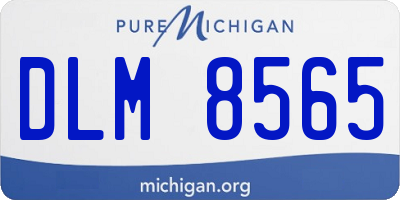 MI license plate DLM8565