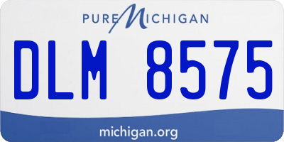 MI license plate DLM8575