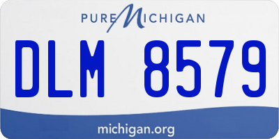 MI license plate DLM8579