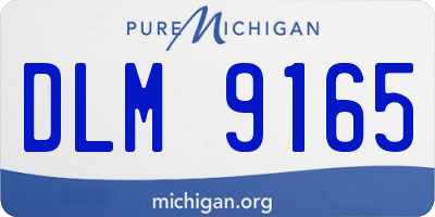 MI license plate DLM9165