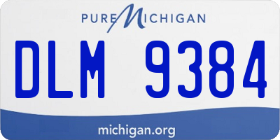 MI license plate DLM9384