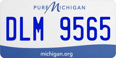 MI license plate DLM9565