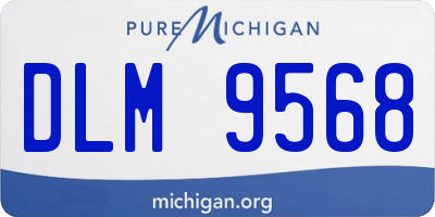 MI license plate DLM9568
