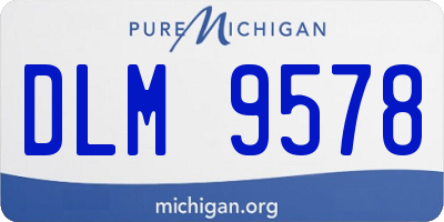 MI license plate DLM9578