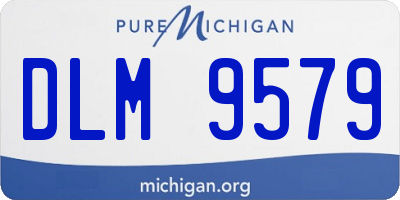 MI license plate DLM9579