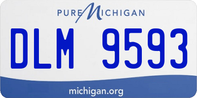 MI license plate DLM9593