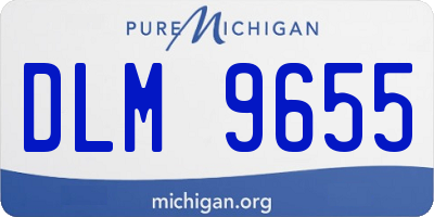 MI license plate DLM9655