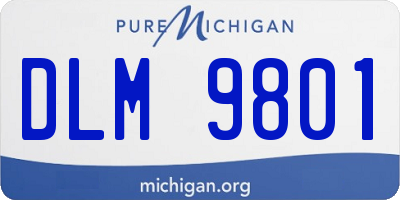 MI license plate DLM9801