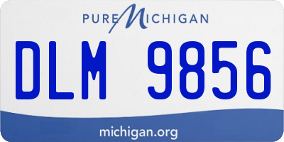 MI license plate DLM9856