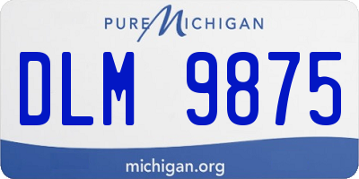MI license plate DLM9875