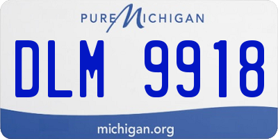 MI license plate DLM9918