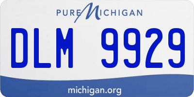 MI license plate DLM9929