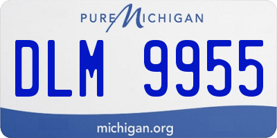 MI license plate DLM9955