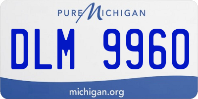 MI license plate DLM9960