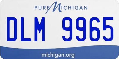 MI license plate DLM9965