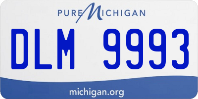 MI license plate DLM9993